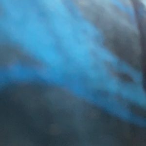 Meet your Posher, Kendall